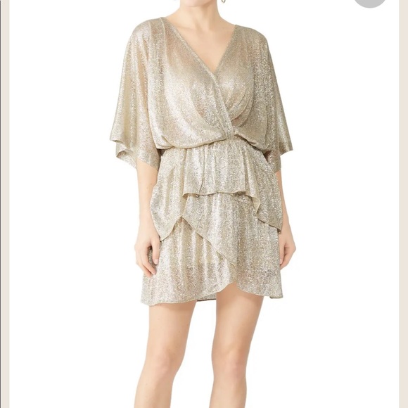 IRO Dresses & Skirts - IRO dress
